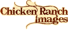 Chicken Ranch Images